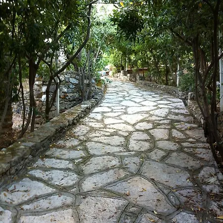 빌라 1911 Poros Country Retreat *