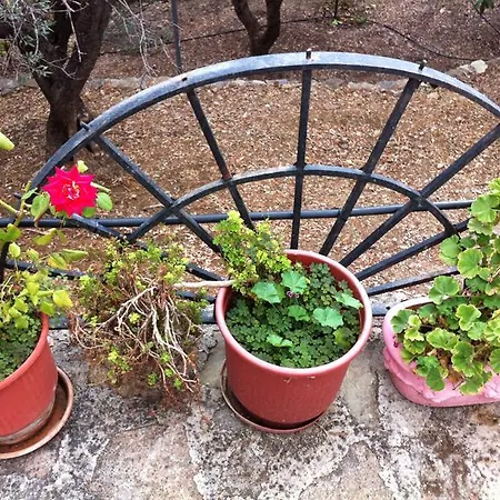 1911 Poros Country Retreat * Galatás